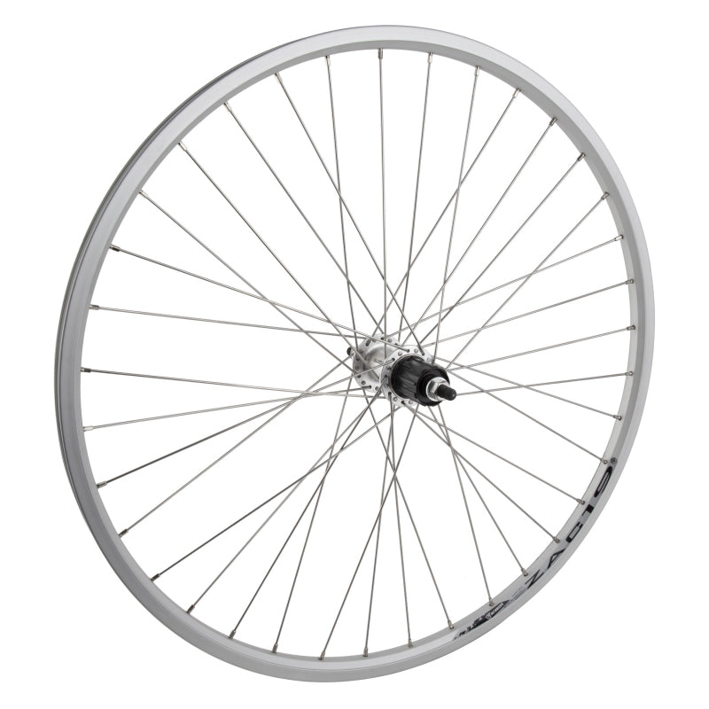 Wheel master 26` Alloy Mountain Double Wall 26in Wheel Rear