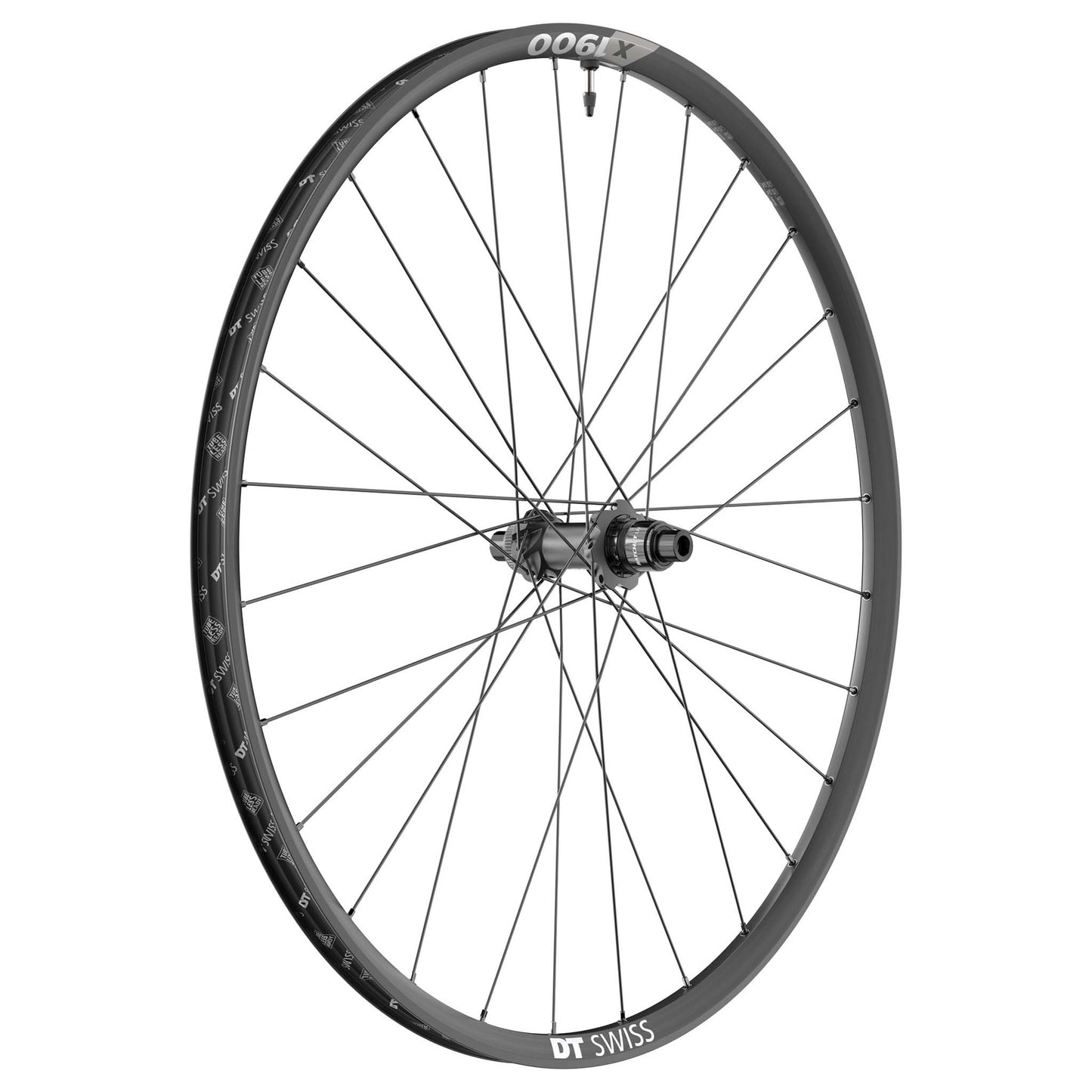 DT Swiss X 1900 Spline 25 Rear Wheel - 29" 12 x 148mm 6-Bolt/Center-Lock XD BLK