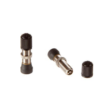 Stan's No Tubes Valve Stems Universal Schrader 32mm 10mm base