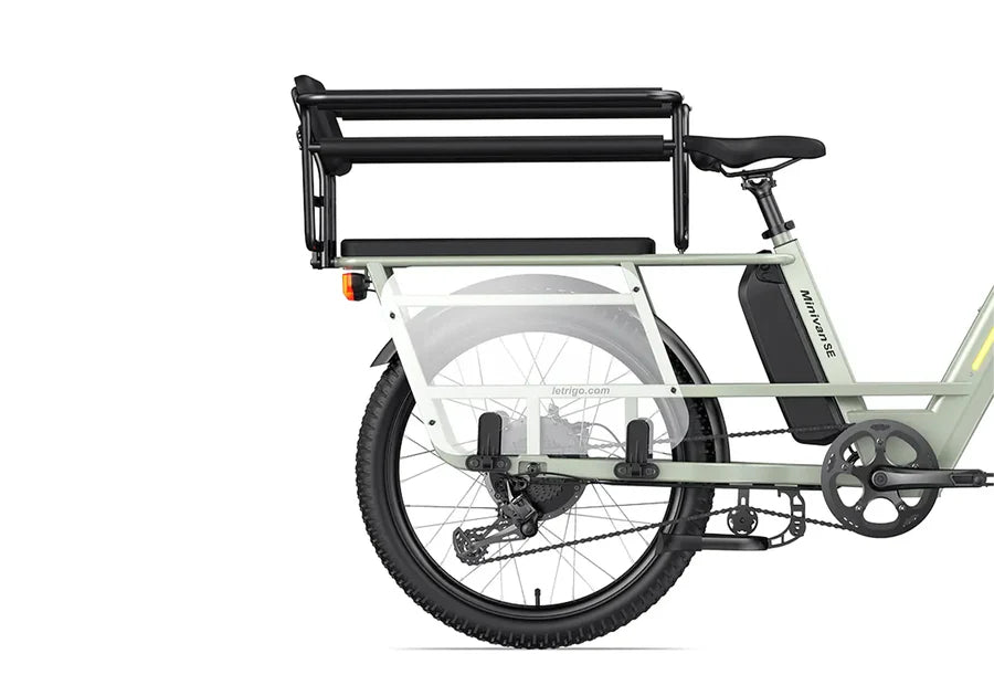 LETRIGO Rear Safety Passenger Kit for Children