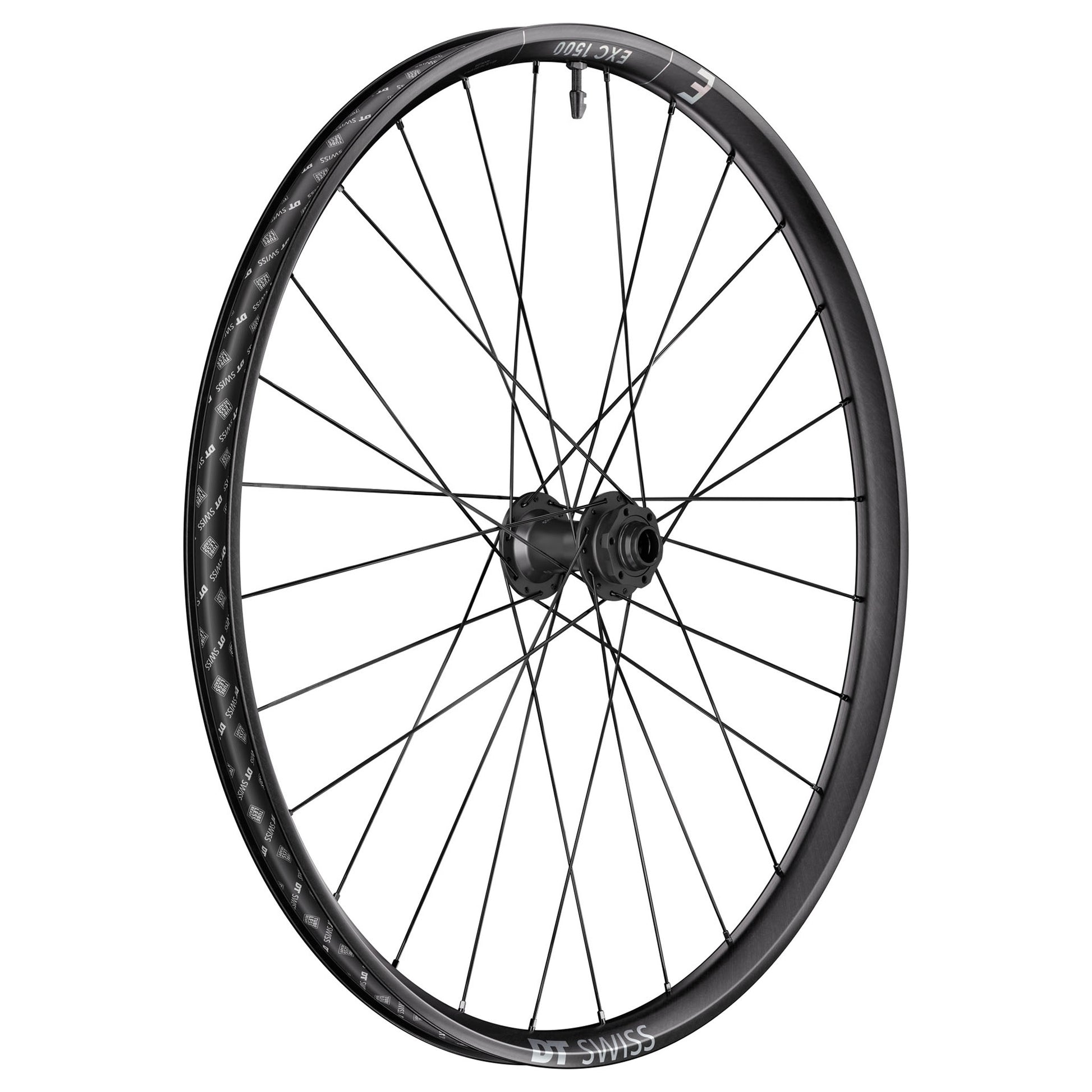 DT Swiss EXC 1500 Classic 30 Front Wheel - 29" 20 x 110mm DH Boost 6-Bolt BLK