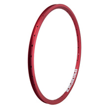 Alienation Ankle Biter 20in 36H Rim