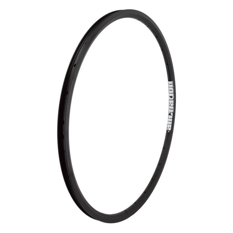 Alienation Ankle Biter 24in 28H Rim