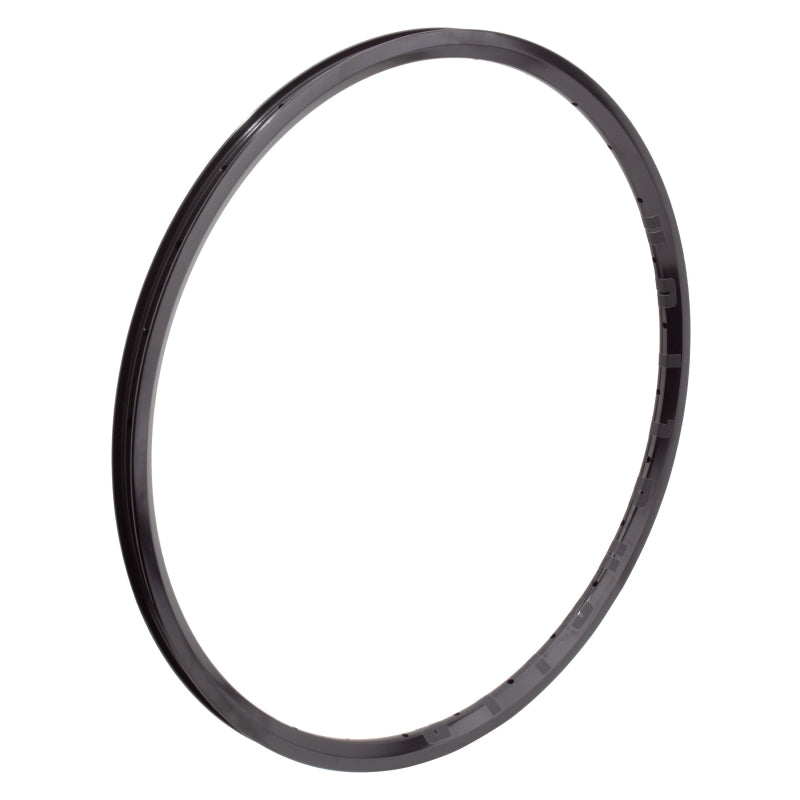 Alienation Mite G69 TCS 20in 28H Rim