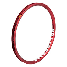 Alienation Mischief TCS 2.0 20in 36H Rim