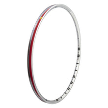 Alienation Mischief TCS 2.0 29in 32H Rim