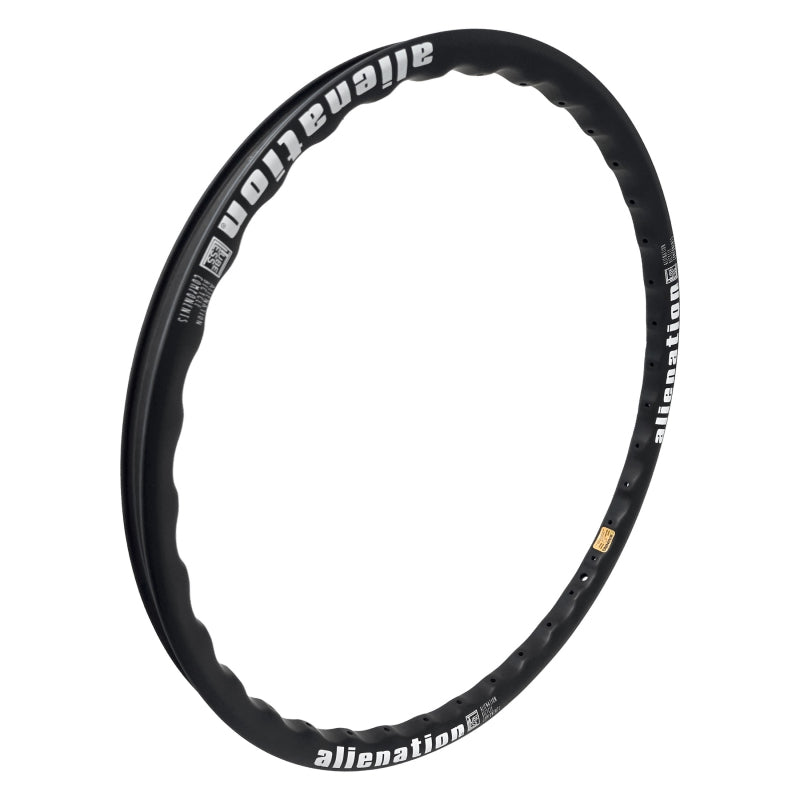 Alienation Arch Bridge Carbon 24in 36H Rim