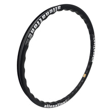 Alienation Arch Bridge Carbon 24in 36H Rim