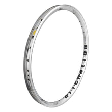 Alienation Mischief OS20 TCS 2.0 20in 36H Rim