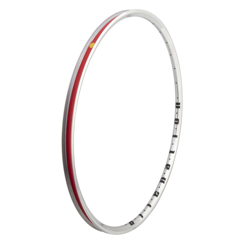 Alienation Mischief TCS 2.0 29in 32H Rim