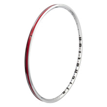 Alienation Mite G69 TCS 20in 36H Rim