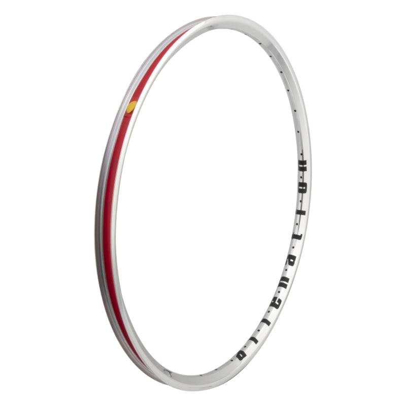 Alienation Mischief TCS 2.0 29in 36H Rim