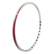 Alienation Mischief TCS 2.0 29in 36H Rim