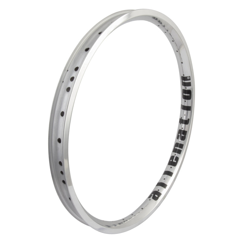 Alienation Vandal 22in 36H Rim