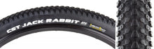 Cst premium Jack Rabbit 29x2.25 Tubeless Tire