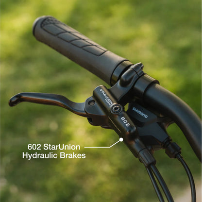 Lectric XP4 - 500W Step Thru