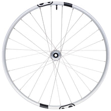 Crankbrothers Synthesis Enduro Alloy V2 29" 15x110 F I9 Silver