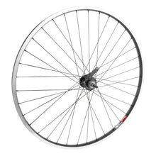 Wheel master 700C Cruiser/Comfort 700C Wheel Rear