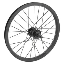 Wheel master 16` Juvenile 16in Wheel Rear