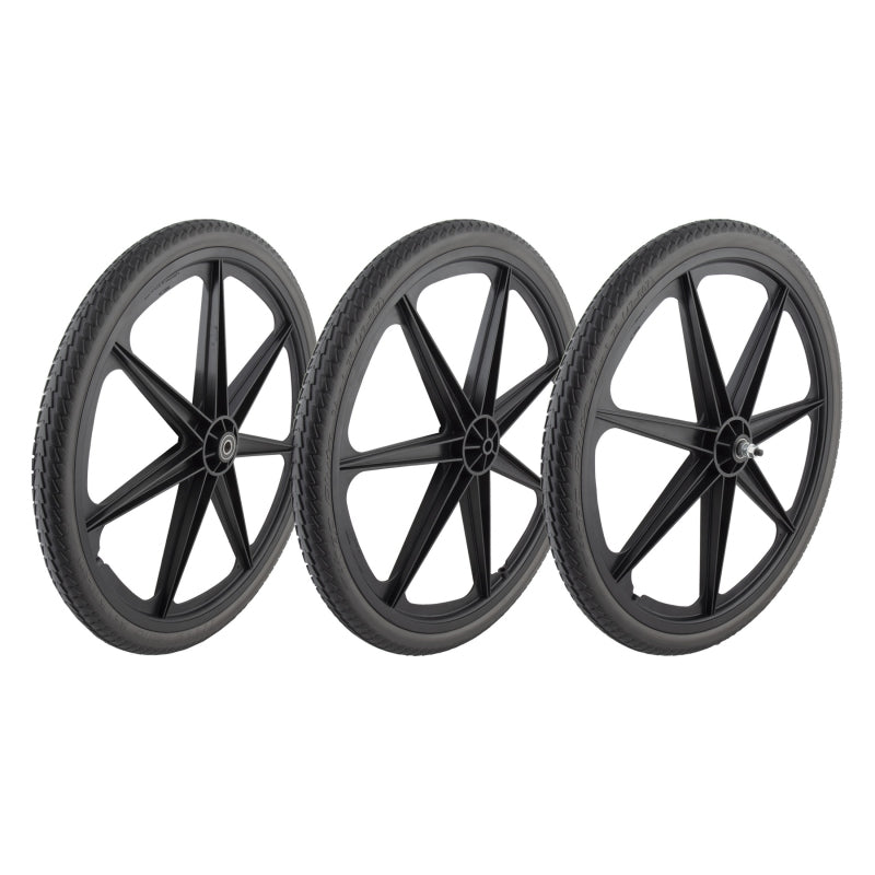 Wheel master Skyway Mag Wheels 24in Wheel SET
