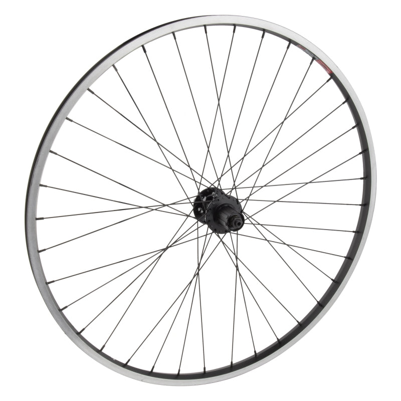 29in Wheel Wheel master 29in Cruiser/Comfort 29in Wheel Rear – Amped Adventure