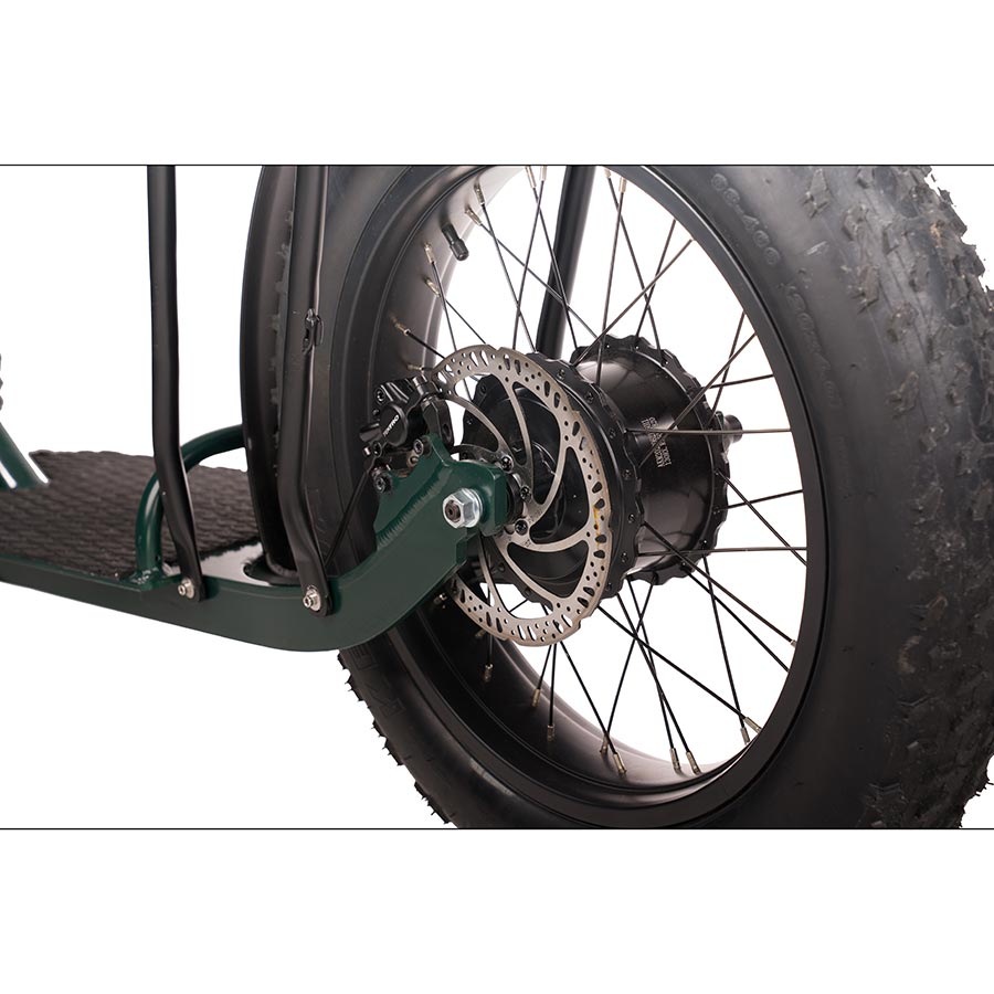 PWR Roam Electric Bicycle 20"/24" Green U