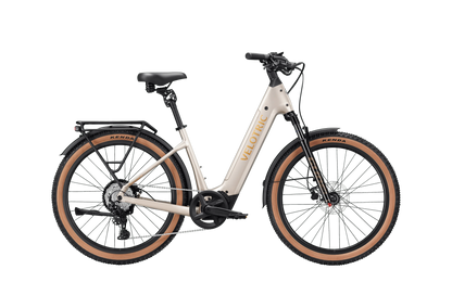 Velotric Discover M