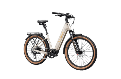 Velotric Discover M