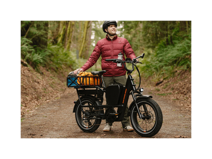 Rad RadRunner Max Electric Cargo Bike