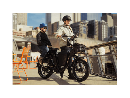 Radrunner Plus Break Rad RadRunner Plus Electric Cargo Bike – Amped Adventure