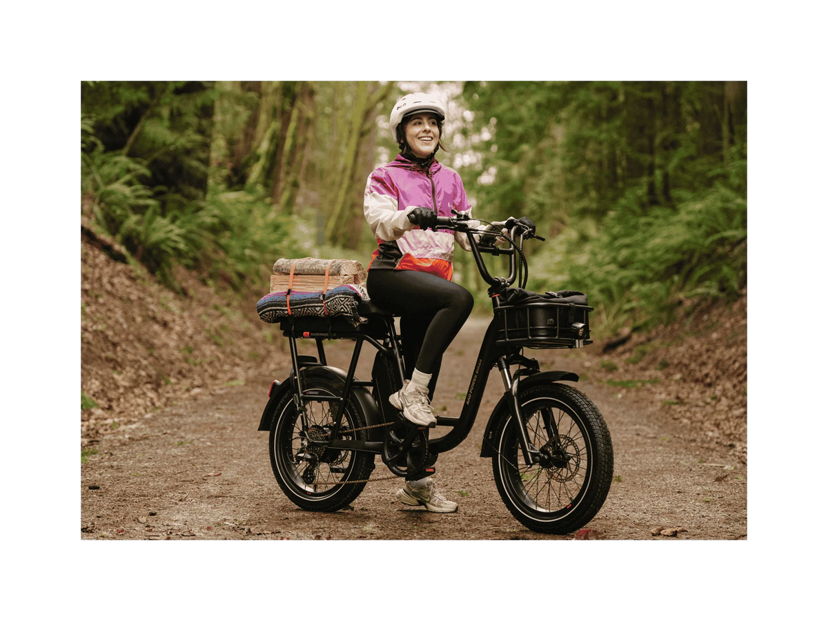 Radrunner Plus Break Rad RadRunner Plus Electric Cargo Bike – Amped Adventure