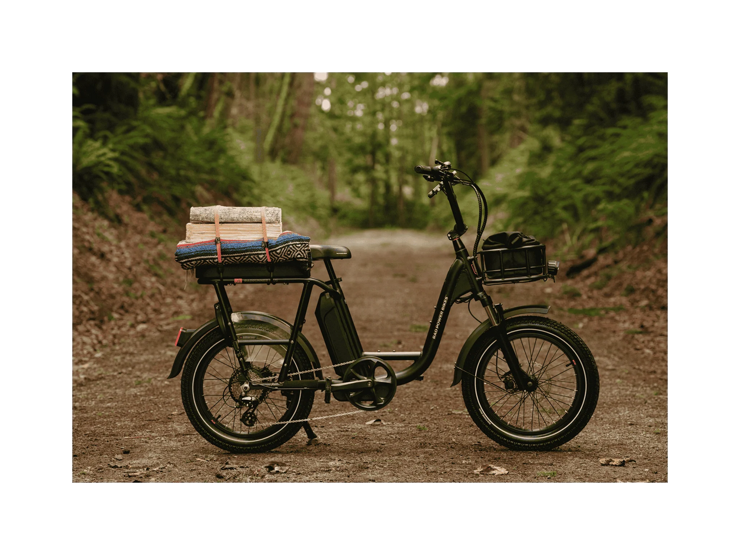 Rad RadRunner Plus Electric Cargo Bike