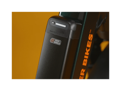 Rad RadRunner Max Electric Cargo Bike