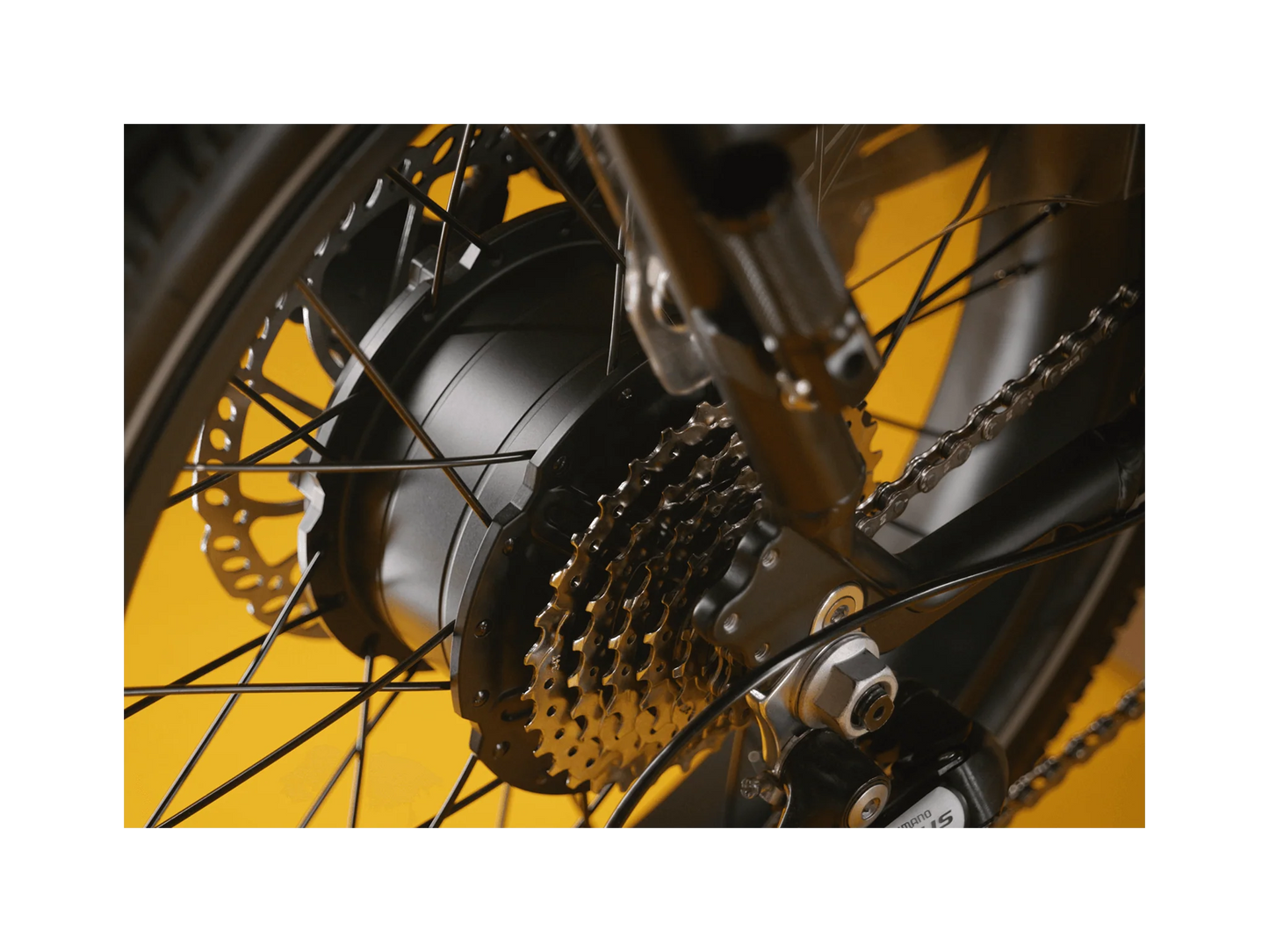 Rad RadRunner Max Electric Cargo Bike