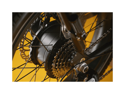 Rad RadRunner Max Electric Cargo Bike