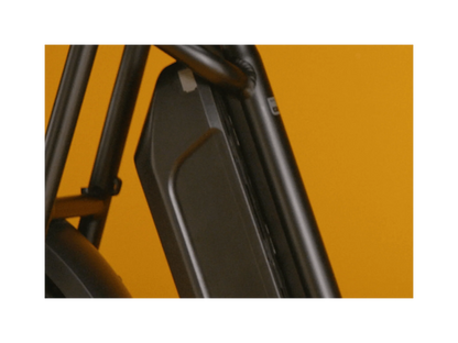 Rad RadRunner Plus Electric Cargo Bike