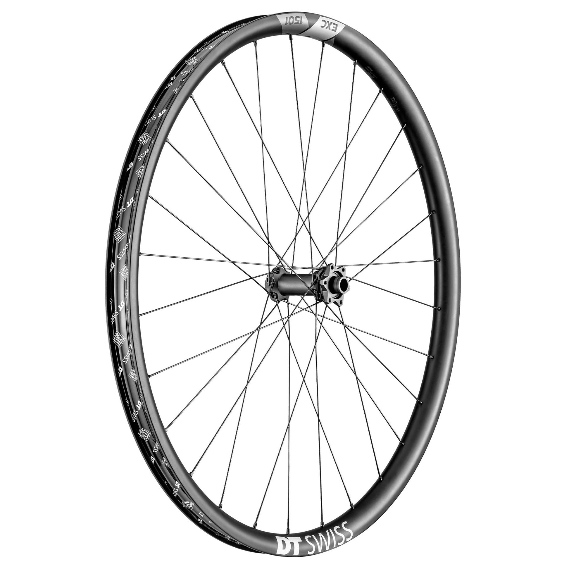 DT Swiss EXC 1501 Spline One Front Wheel - 29" 15 x 110mm Boost 6-Bolt Black
