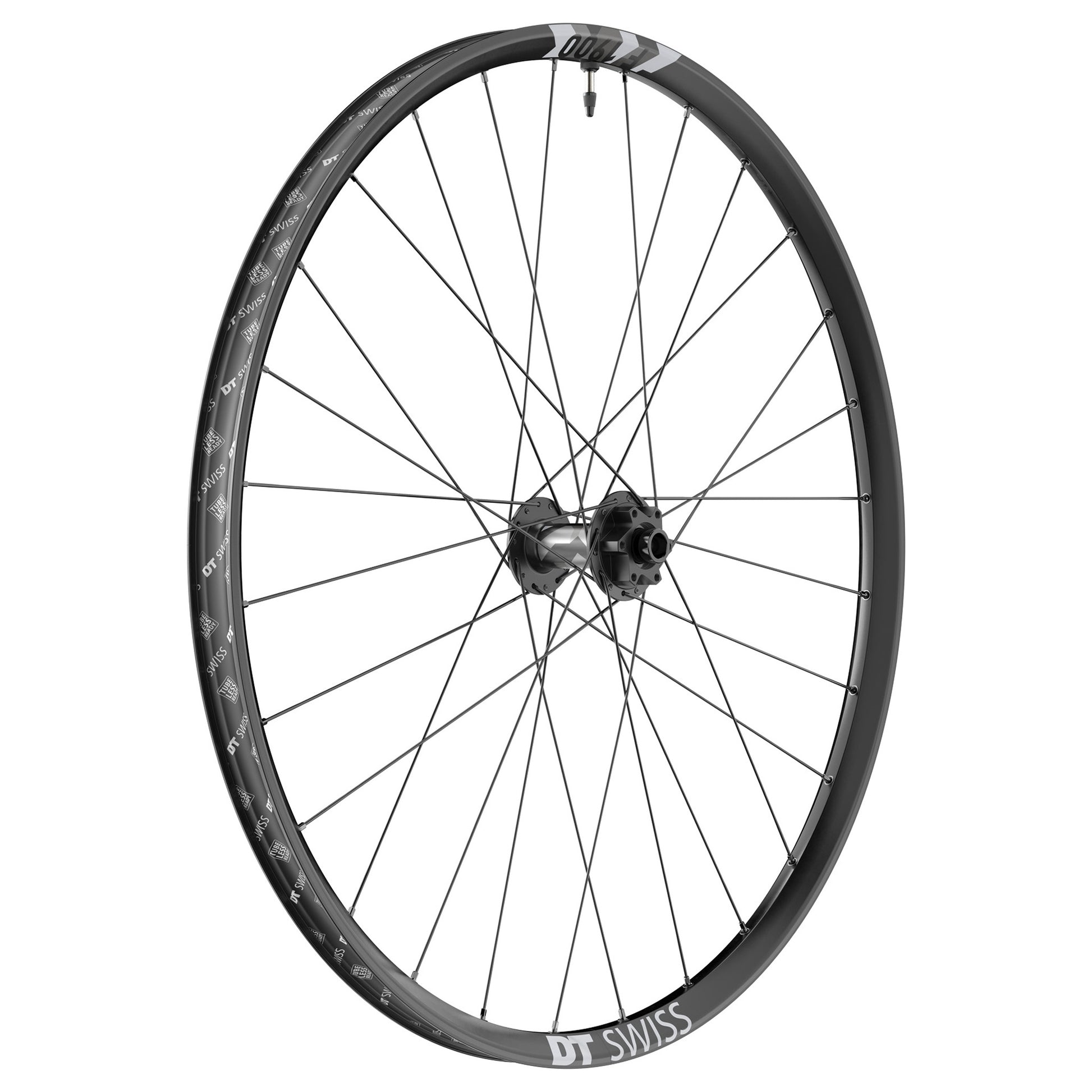 DT Swiss F 1900 Classic Front Wheel - 29" 15 x 110mm 6-Bolt Black