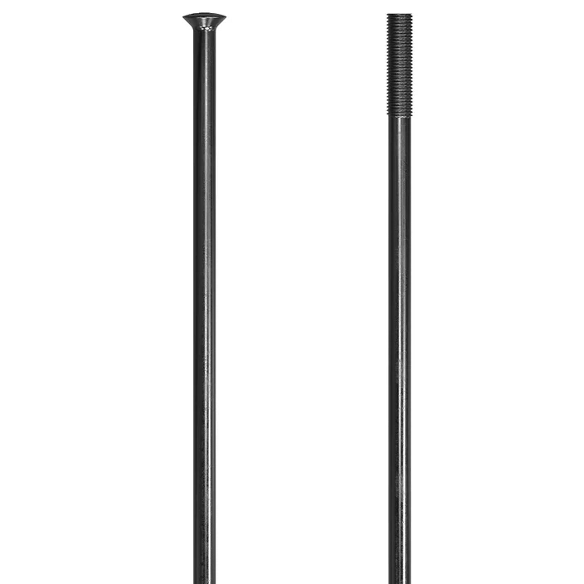 DT Swiss Champion 14g Spoke SP Black 288mm 20/Count