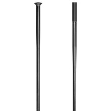 DT Swiss Competition Race 14g DB Spoke SP  Blk 286mm 20/Ct