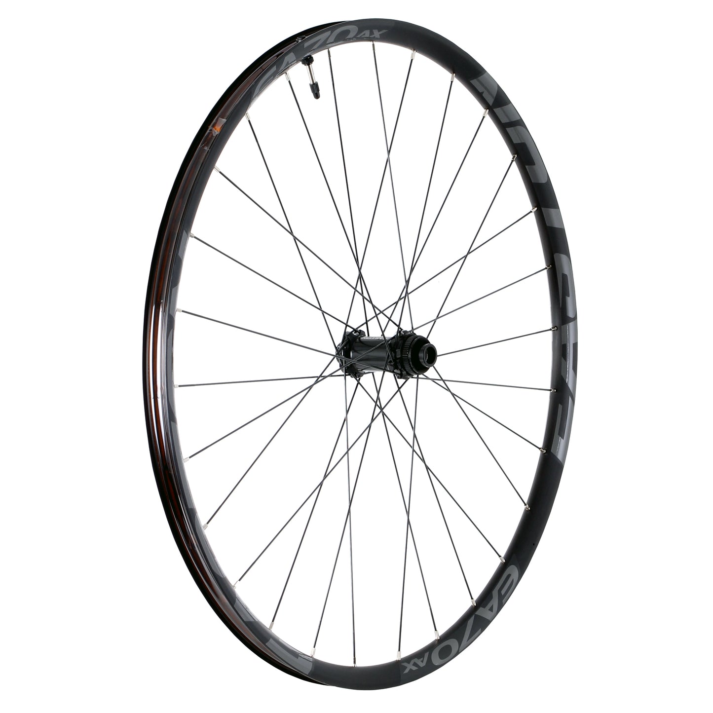 Easton EA70 AX Disc 650b F Wheel 9x100 QR+15x100 TA 