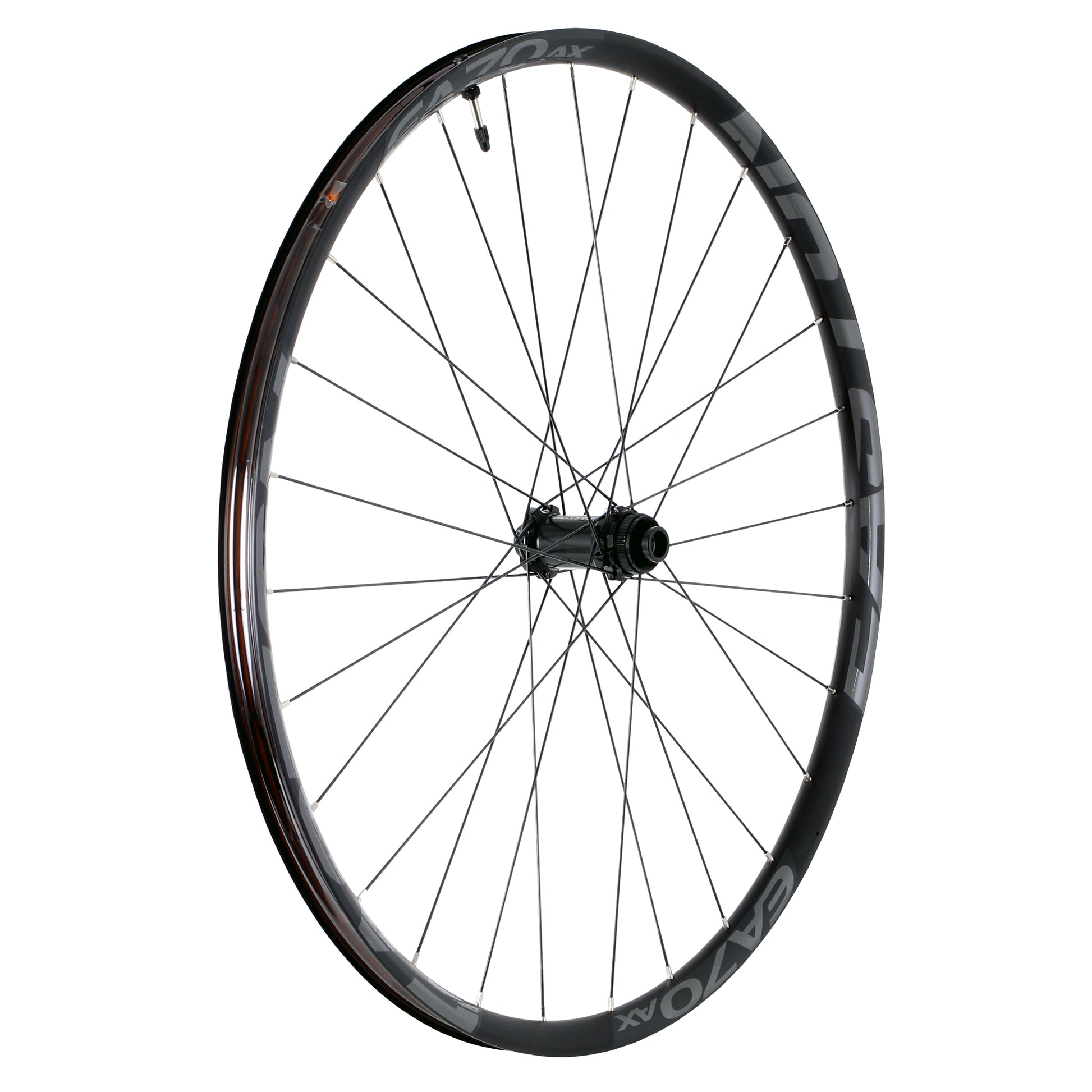 Easton EA70 AX Disc 650b F Wheel 9x100 QR+15x100 TA 