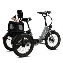 Lectric Small Pet Carrier