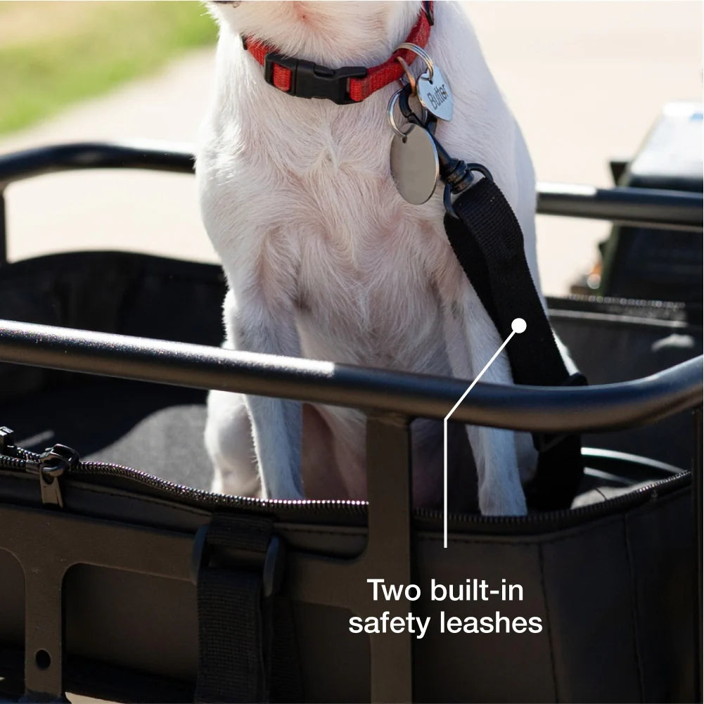 Lectric Small Pet Carrier