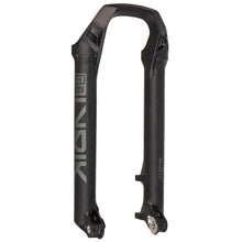 RockShox Lower Legs 29" Lyrik Select (D1) 15x110mm Black  