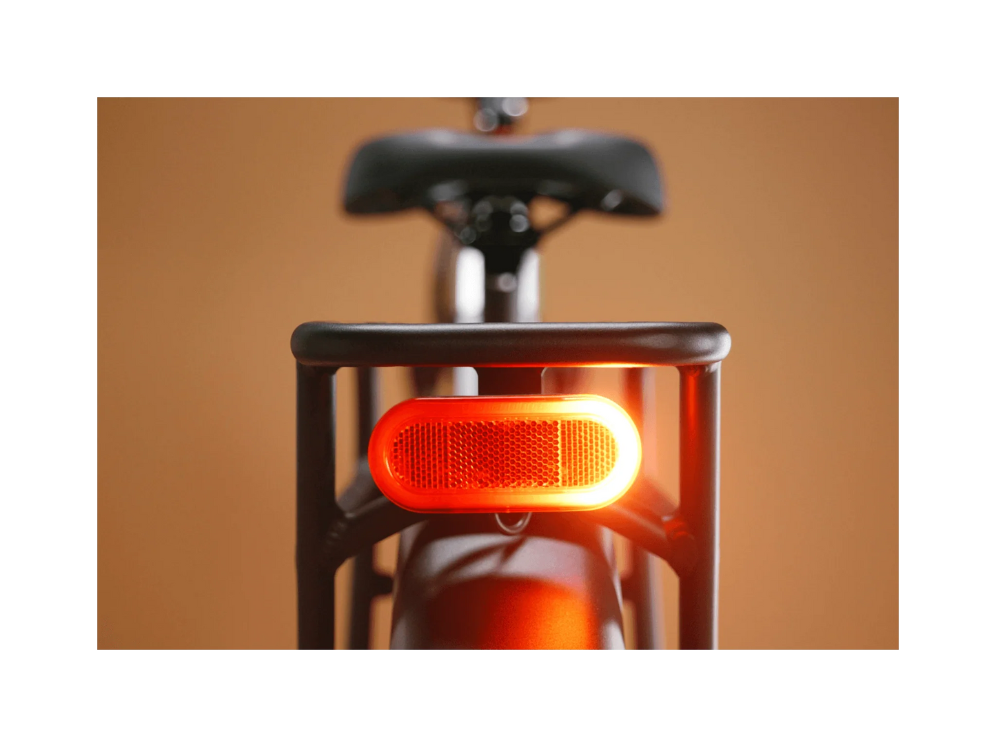 Rad Radster Trail Bike