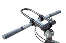 Twofish Lockblocks U-Lock Mount