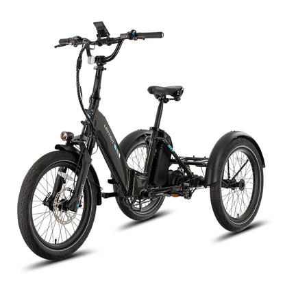 Lectric XP Trike 2