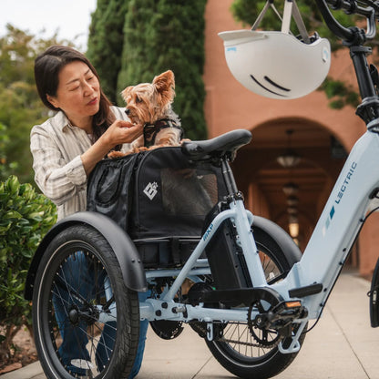 Lectric XP Trike 2 750