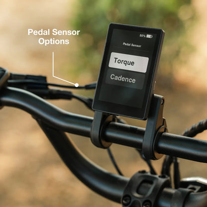 Lectric XP Trike 2 750